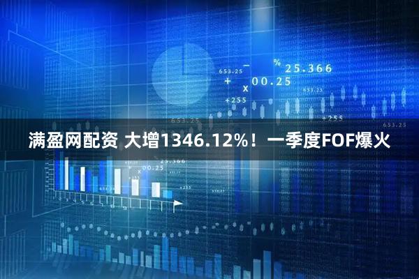 满盈网配资 大增1346.12%！一季度FOF爆火