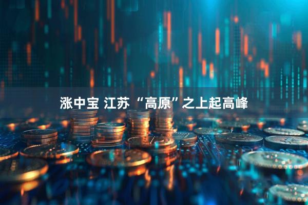 涨中宝 江苏 “高原”之上起高峰