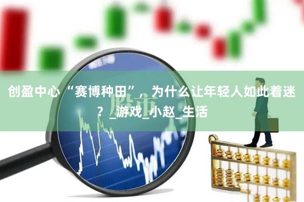 创盈中心 “赛博种田”，为什么让年轻人如此着迷？_游戏_小赵_生活