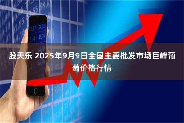 股天乐 2025年9月9日全国主要批发市场巨峰葡萄价格行情