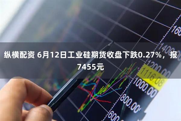 纵横配资 6月12日工业硅期货收盘下跌0.27%，报7455元