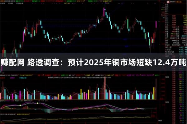 赚配网 路透调查：预计2025年铜市场短缺12.4万吨